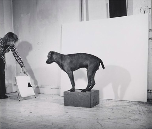 William Wegman, Before/On/After (detail), 1972