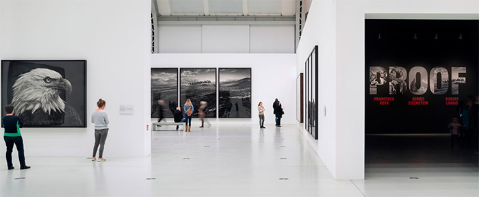Proof: Francisco Goya, Sergei Eisenstein, Robert Longo, 17 February−27 May 2018, Hall For Contemporary Art/Deichtorhallen Hamburg, © Henning Rogge / Deichtorhallen Hamburg