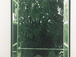 Wolfgang Tillmans at Tate Modern and Fondation Beyeler