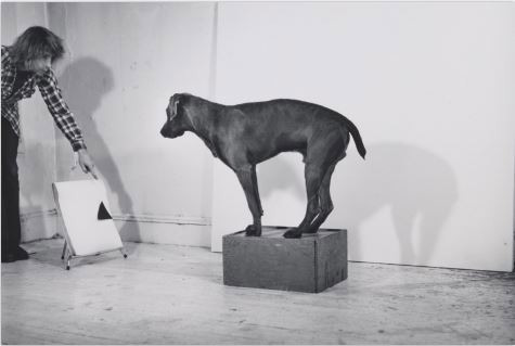 Before/On/After: William Wegman and California Conceptualism