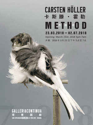 CARSTEN HÖLLER. METHOD