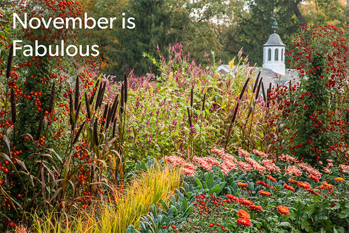 November is fabulous at Hillwood