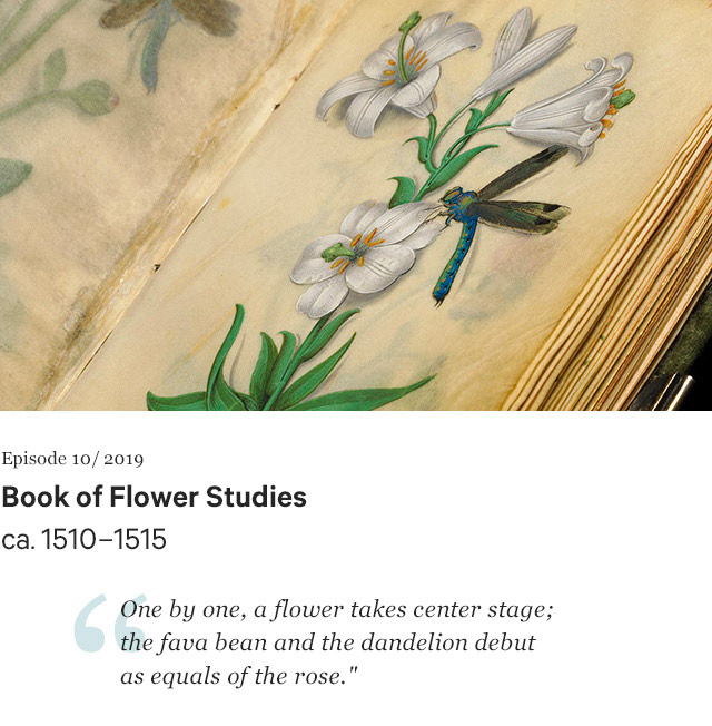 Book of Flower Studies by Master of Claude de France ca. 1510–1515