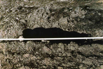 VALIE EXPORT Dichotomy, 1982