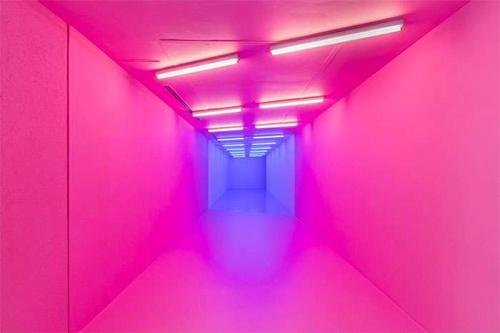 Kapwani Kiwanga, pink-blue (2017)