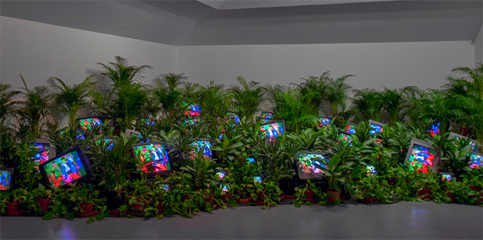 Nam June Paik, TV Garden 1974-77 (2002)