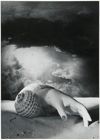 Dora Maar (1907-1997), Untitled (Hand-Shell) 1934