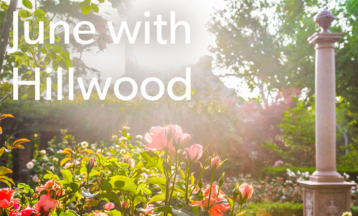 Hillwood