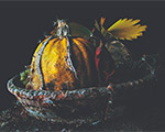2019 =>2020 | Galerie ARGENTIC 2019 =>2020 | Galerie ARGENTIC