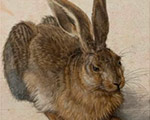 Dürer at the Albertina: the other exceptional exhibition of an old master in Europe Dürer at the Albertina: the other exceptional exhibition of an old master in Europe