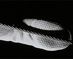 Exhibition of Contemporary Video Opening at The Met Breuer in June Exhibition of Contemporary Video Opening at The Met Breuer in June